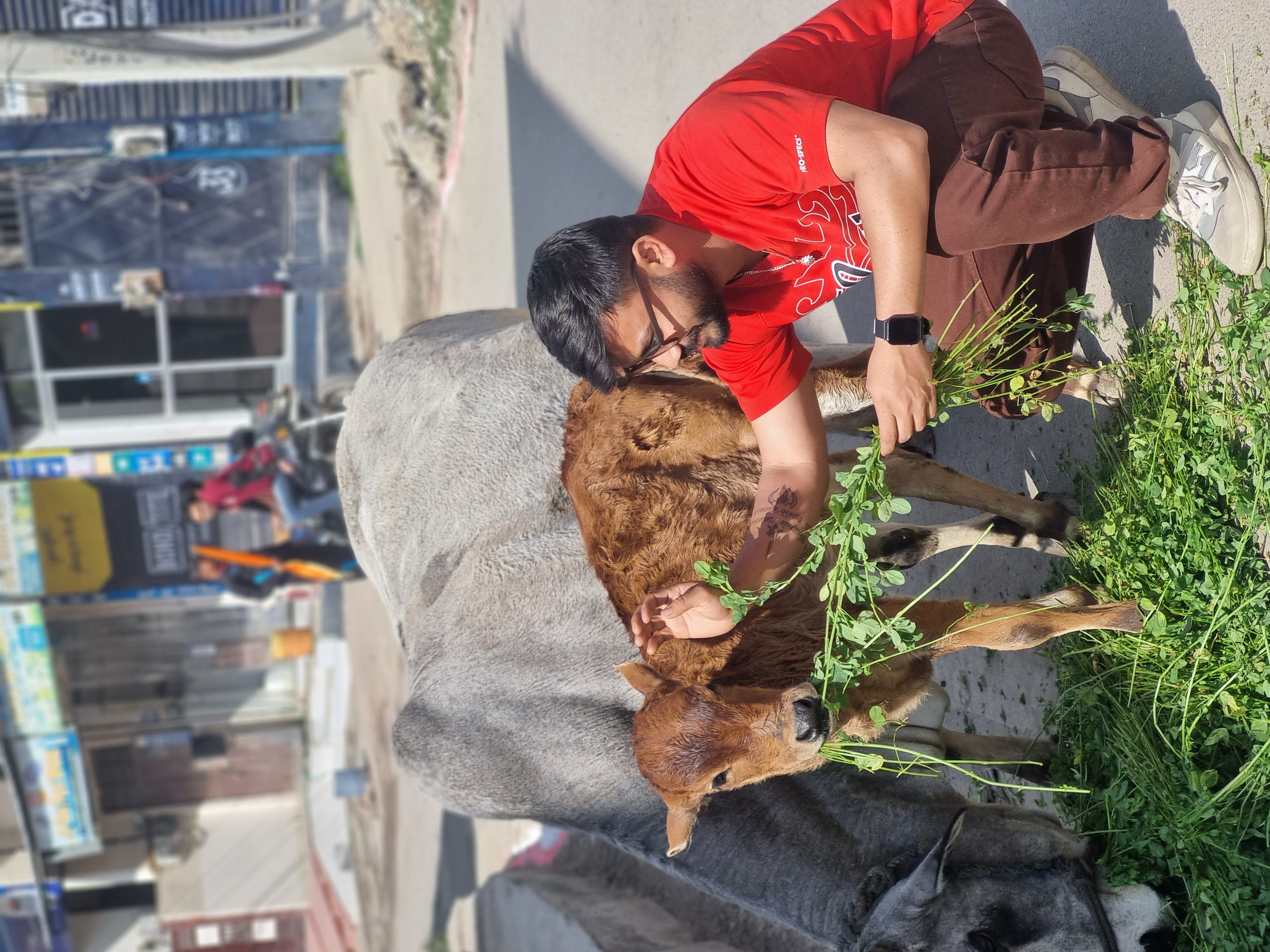 नए गौ शरणालय