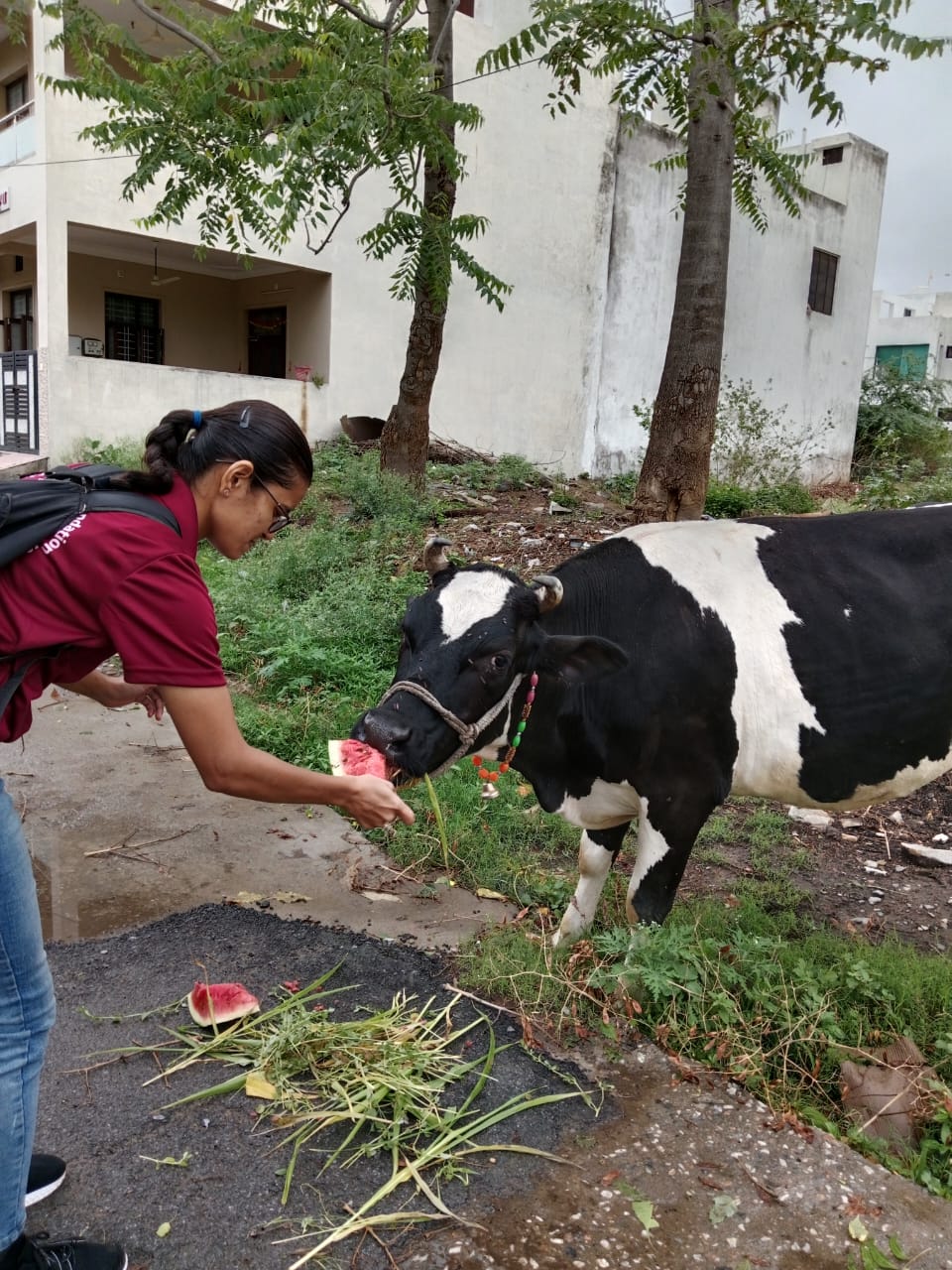 चारा बैंक