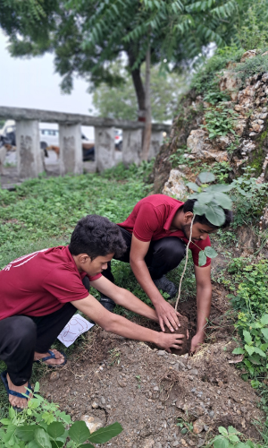 वृक्षारोपण अभियान