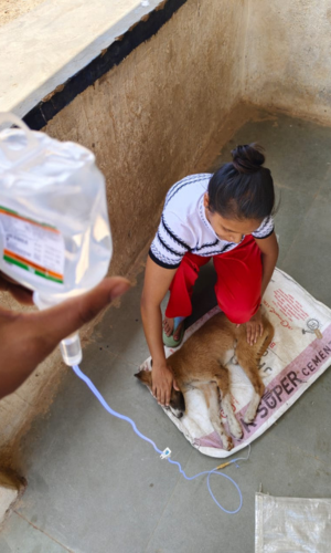 बचाव अभियान